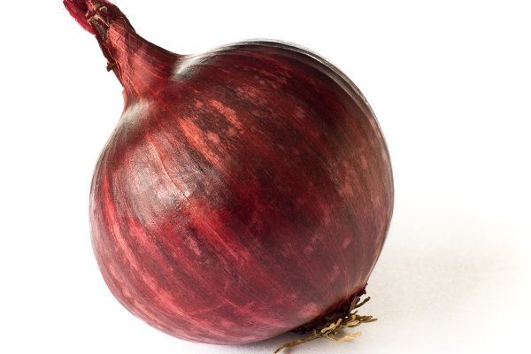 Kraken istand onion