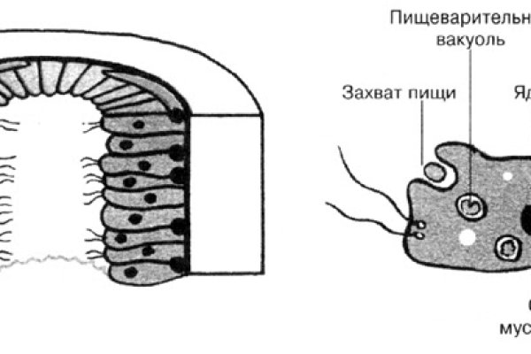 Аналог hydra