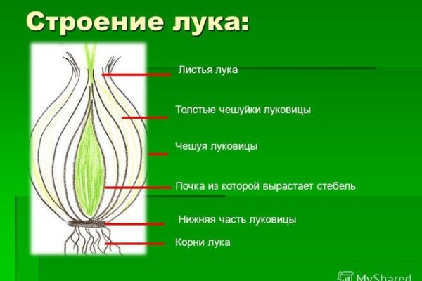 Ссылка на кракен в тор браузере