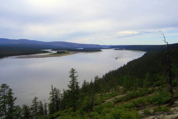 Кракен короткая ссылка